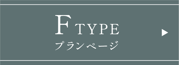 FTYPEプランページ