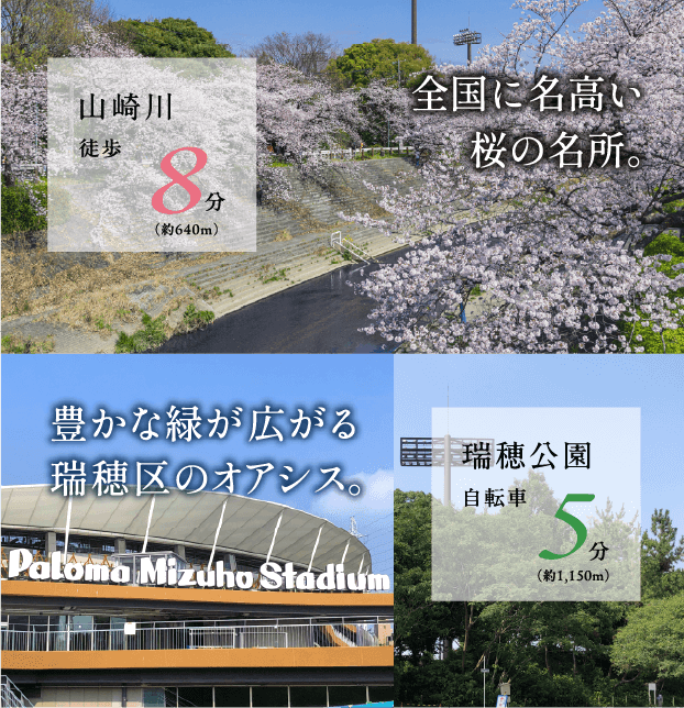 名古屋が誇る、全国に名高い桜の名所。山崎川を行楽、散策の場に。豊かな緑に抱かれ、県下屈指のスポーツ施設が整った、広大な瑞穂区のオアシス。