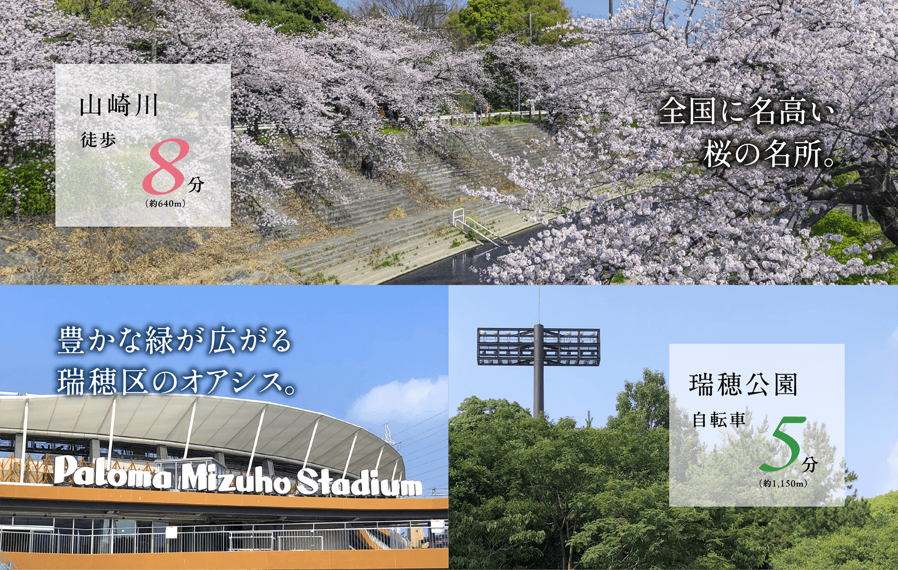 名古屋が誇る、全国に名高い桜の名所。山崎川を行楽、散策の場に。豊かな緑に抱かれ、県下屈指のスポーツ施設が整った、広大な瑞穂区のオアシス。