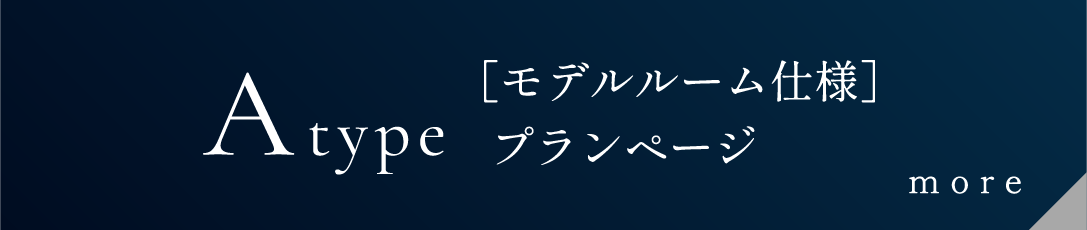 Aタイプ モデルルーム仕様 プランページ